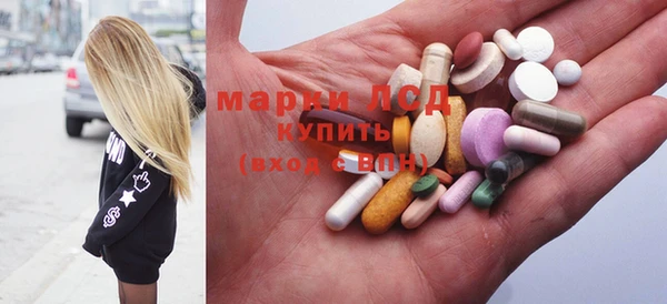 индика Коряжма