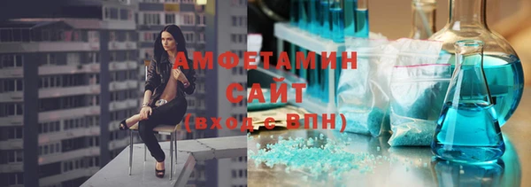 индика Коряжма