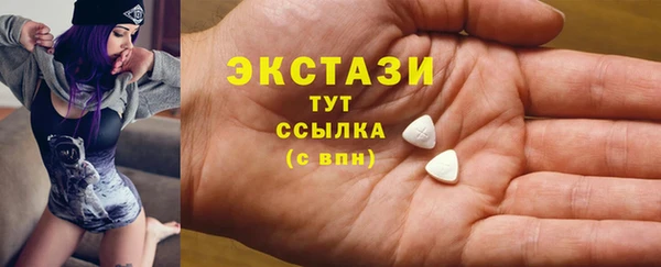 индика Коряжма