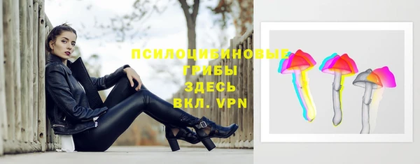 a pvp Корсаков