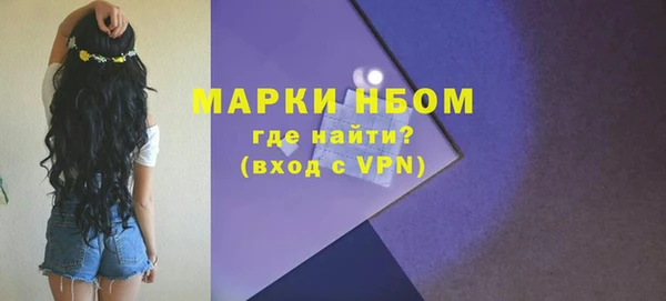 индика Коряжма