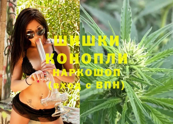 индика Коряжма