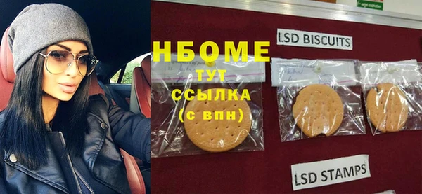 индика Коряжма