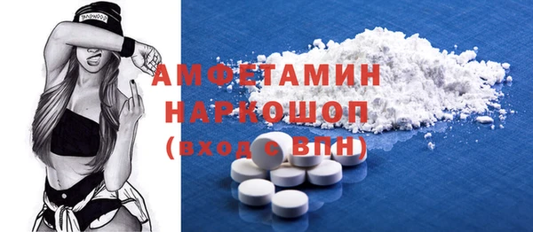 индика Коряжма