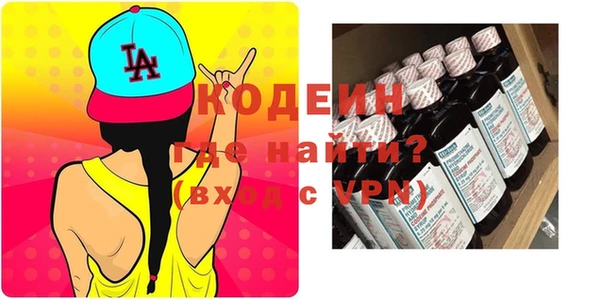 индика Коряжма