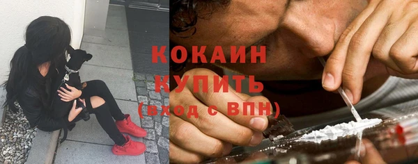 a pvp Корсаков