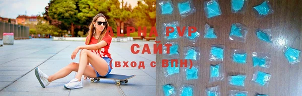 индика Коряжма