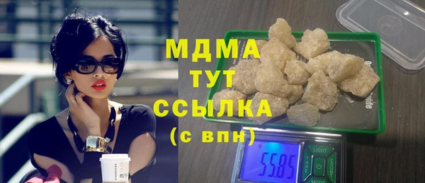 индика Коряжма