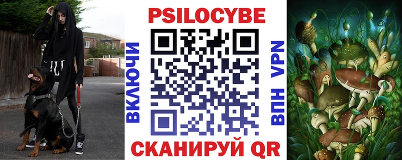 Псилоцибиновые грибы GOLDEN TEACHER  Купить закладки  Белёв 
